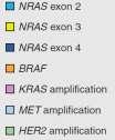Metasztatikus CRC: klinikailag potenciálisan releváns DNS alterációk Rutinban vizsgált genetikai alterációk BRAF 4.9% NRAS exon 4 NRAS exon 3 0.2% 2.2% NRAS exon2 2.