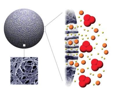 Méretkizárásos kromatográfia Size Exclusion Chromatography (SEC) A molekulákat nagy pórusátmérőjű tölteteken méretük szerint választjuk szét Nagy molekuák kizáródnak