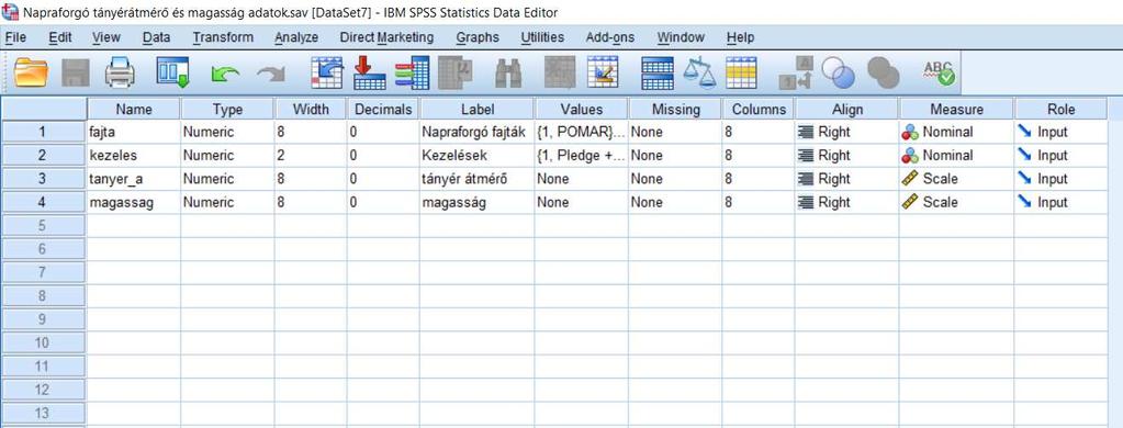 2.1.5. ábra. Variable view ablak A Variable View ablakban a sorok tartalmazzák a változókat, az oszlopok pedig ezek tulajdonságait (2.1.5. ábra): Name: a változó rövid nevét kell megadni ékezetek nélkül.