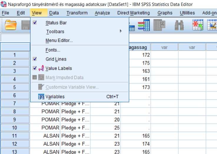 o Az Output Labels: segítségével lehet beállítani, hogy az output ablakban megjelenő táblázatokban, grafikonokon a változó neve (Names), jelentése (Labels) vagy mindkettő (Names and Labels)