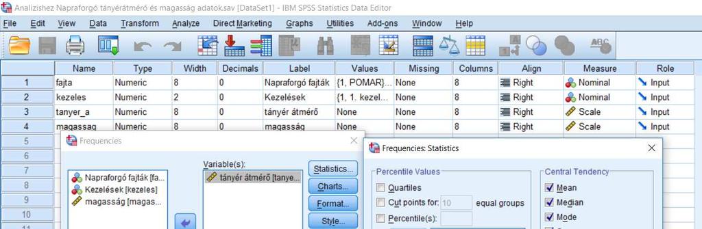 5.1 Analyze/Descriptive Statistcs /Frequencies 5.