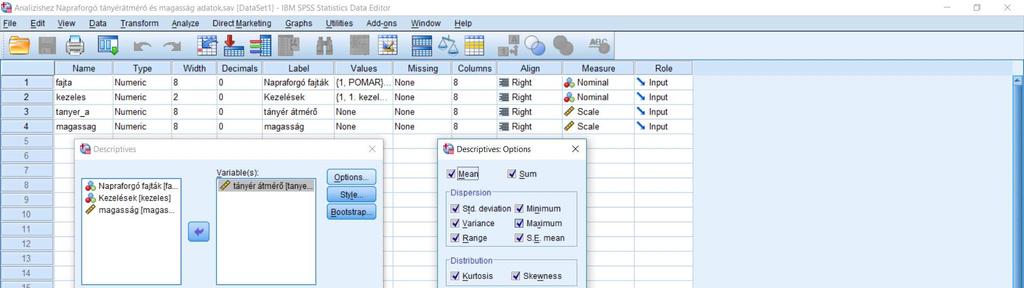 5.2 Analyze/Descriptive Statistcs/ Descriptive A bal oldali dobozból jelöljük ki a célváltozónkat, mely most
