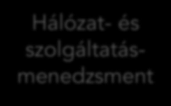 Kutatási területek Hálózat- és