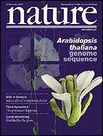 Mérföldkövek a termékfejlesztésben 2000: Az Arabidopsis thaliana teljes géntérképének (27 000 db gén és az általuk kódolt 35 000 db megismerése protein) 2009: