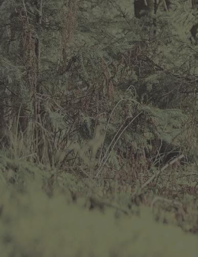 a gép fő koncepciója a mezőgazdasági hulladékokból származó bioüzemanyagok előállítása, olyan hulladékból, amely egyébként hatástalanul megsemmisülne vagy azt ömlesztve égetnék el, és így szennyeznék