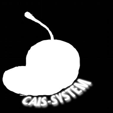 CaIS integrált alkalmazáscsomag [M] rendszerekre WEB-Raktár Hűtőházi bértároló modul Felhasználói kézikönyv MV1R2 NoSQL multidimensional database and application Runtime System Project :