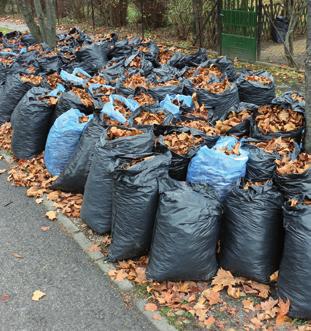 káros növény virágbimbójának kialakulását. Továbbá kérjük, hogy a gyomok irtásánál vegye figyelembe a környezetünk és a természet védelmét.