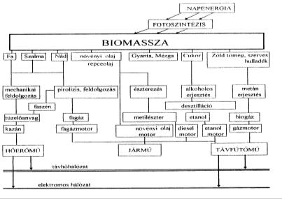 Pécsi és Borsodi Hőerőmű Biomasssza Az E-termelés lehetőségei biomasszából A BIOMASSZA CSOPORTOSÍTÁSA keletkezési szint szerint átalakított energiahordozó fajtái végtermék szerint tárolhatósága
