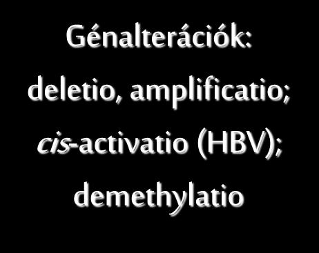 Génalterációk: deletio, amplificatio; cis-activatio