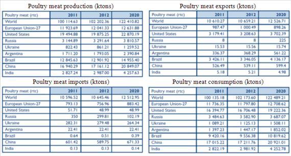 12. ECONOMICS IN POULTRY MEAT AND EGG PRODUCTION Source: OECD.Stat In.: AVEC, 2012 The production in the poultry meat sector is organized within a production chain.
