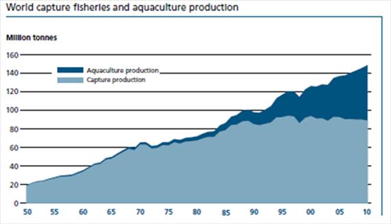 14. THE ECONOMICS OF FISHERIES AND AQUACULTURE PRODUCTION Source: FAO, 2012 Overall global capture fisheries production continues to remain stable at about90 million tonnes although there have been