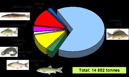 14. THE ECONOMICS OF FISHERIES AND AQUACULTURE PRODUCTION 14.12. ábra - Figure 14.10.:Share of the table size aquaculture fish production by species in Hungary (2012) Source: AKI, 2013.