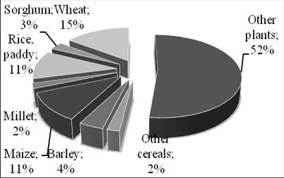 3. fejezet - 3. Complex economic issues of cereal production (wheat, maize, rice, barley) The plant production area in the world is around 1,500 million hectares. Figure 3.