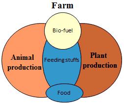8. fejezet - 8. ECONOMIC ASPECTS OF FEED MANAGEMENT The proper nutrition of farm animals is the main factor of a profitable and successful production system.