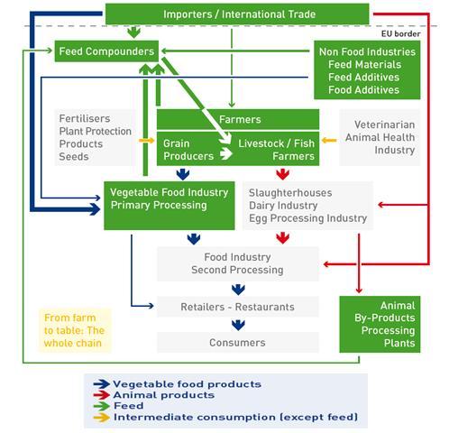 The elements of this chain which are connected to feed manufacturers, either as suppliers or customers, are outlined in green.