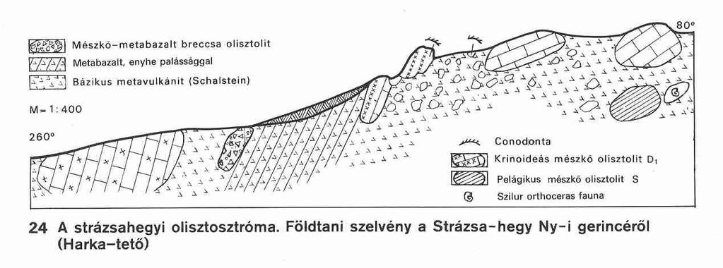 A Strázsa-hegy földtani alapszelvényének olisztosztróma szakasza (Fülöp J. 1994). Kislexikon: olisztolit az olisztosztromában előforduló, rendezetlen, nagyobb tömbök olisztosztroma (gör.