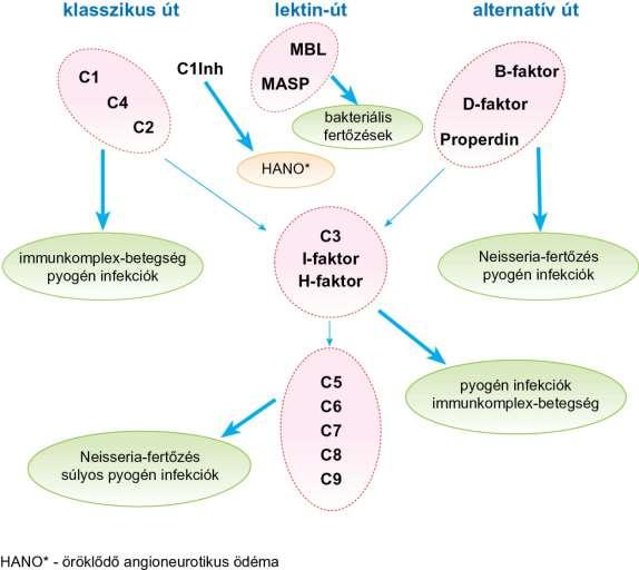 A komplement-aktiválás hiánya által okozott fertőzések, kóros állapotok