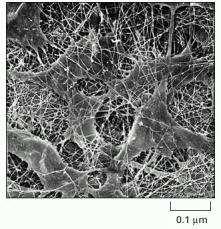 matrix Ligand-receptor pairs Integrins Fibronectin, Laminin, Collagen