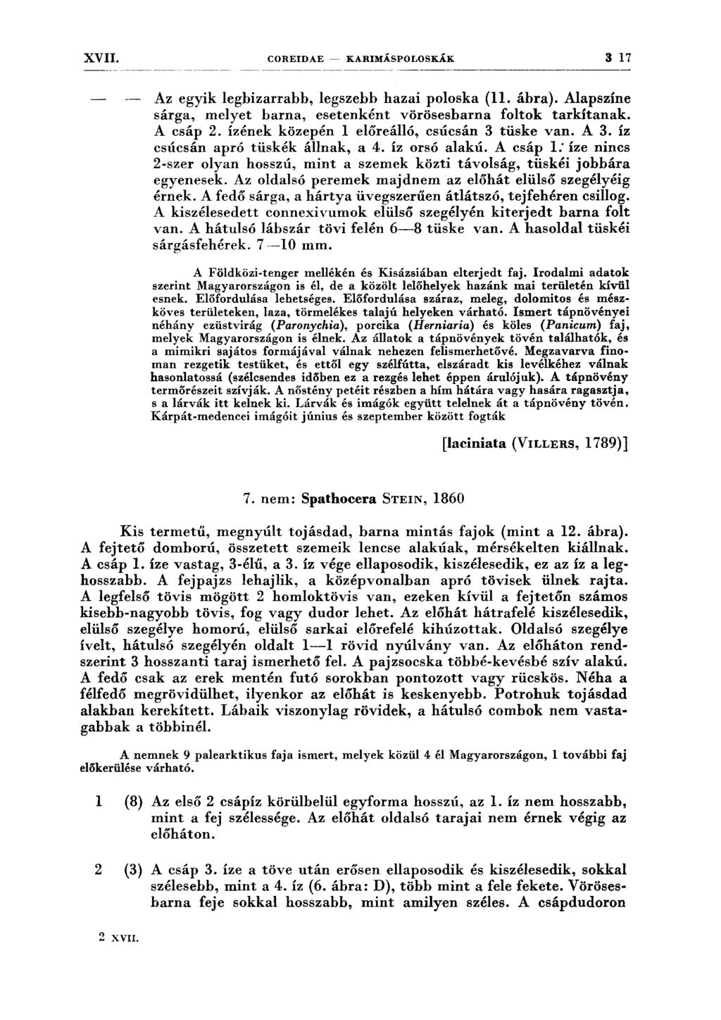 ~ -~---~~--~------- -----~-------------- XVII. COREIDAE - KARIMÁSPOLOSKÁK 3 17 Az egyik legbizarrabb, legszebb hazai poloska (ll. ábra).