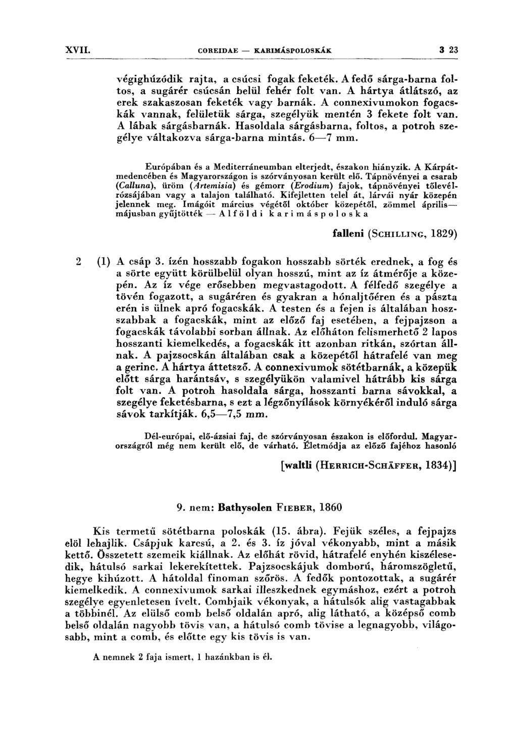 XVII. COREIDAE - KARIMÁSPOLOSKÁK 3 23 végighúzódik rajta, a csúcsi fogak feketék. A fedő sárga-barna foltos, a sugárér csúcsán belül fehér folt van.