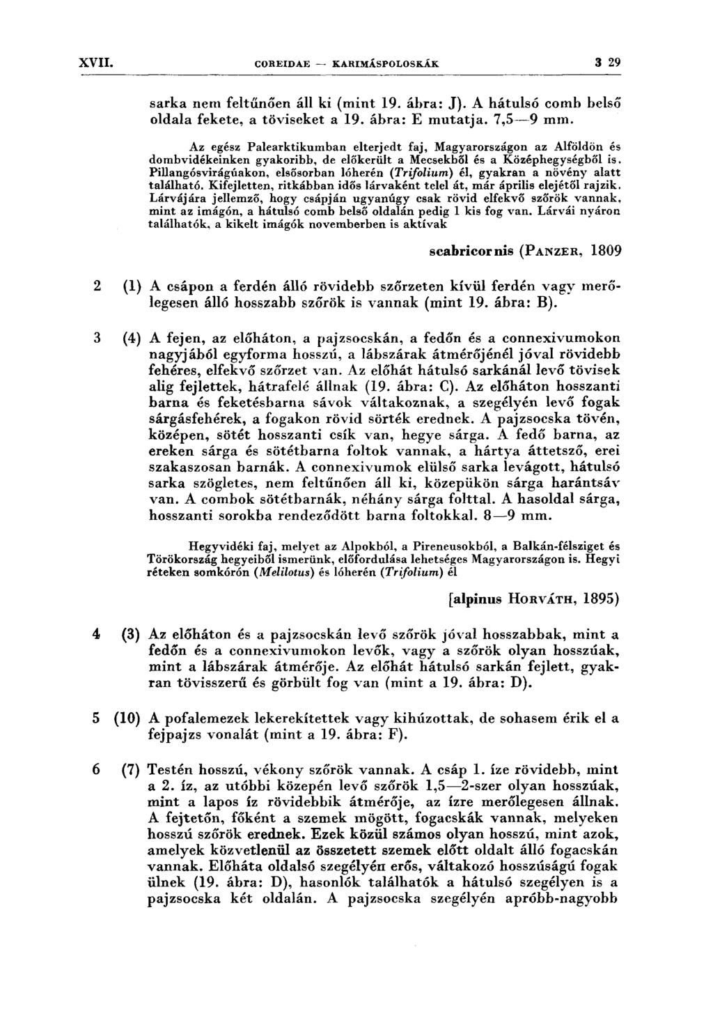 XVII. COREIDAE - KARIMÁSPOLOSKÁK 3 29 sarka nem feltűnően áll ki (mint 19. ábra: J). A hátulsó comb belső oldala fekete, a töviseket a 19. ábra: E mutatja. 7,5~9 mm.