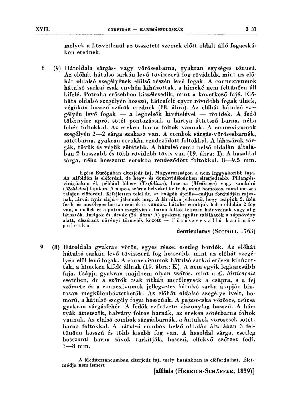 XVII. COREIDAE - KARIMÁSPOLOSKÁK 3 31 oldalt álló fogacská melyek a közvetlenül az összetett szemek előtt kon erednek. 8 (9) Hátoldala sárgás- vagy vörösesbarna, gyakran egységes tónusú.