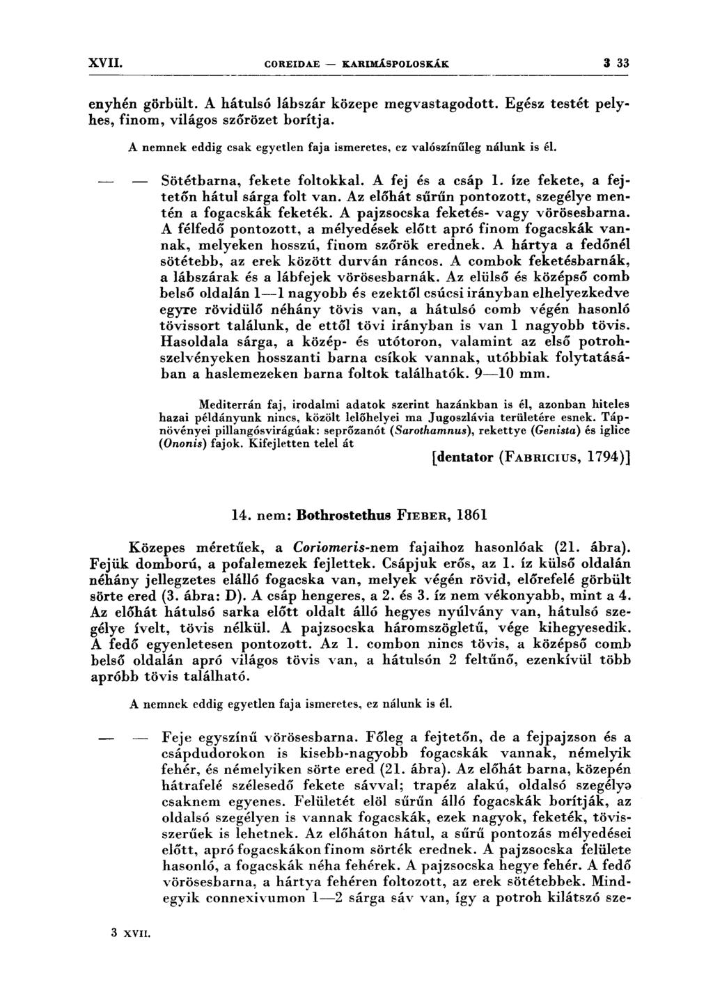 XVII. COREIDAE - KARIMÁSPOLOSKÁK 3 33 enyhén görbült. A hátulsó lábszár közepe megvastagodott. Egész testét pely hes, finom, világos szőrözet borítja.