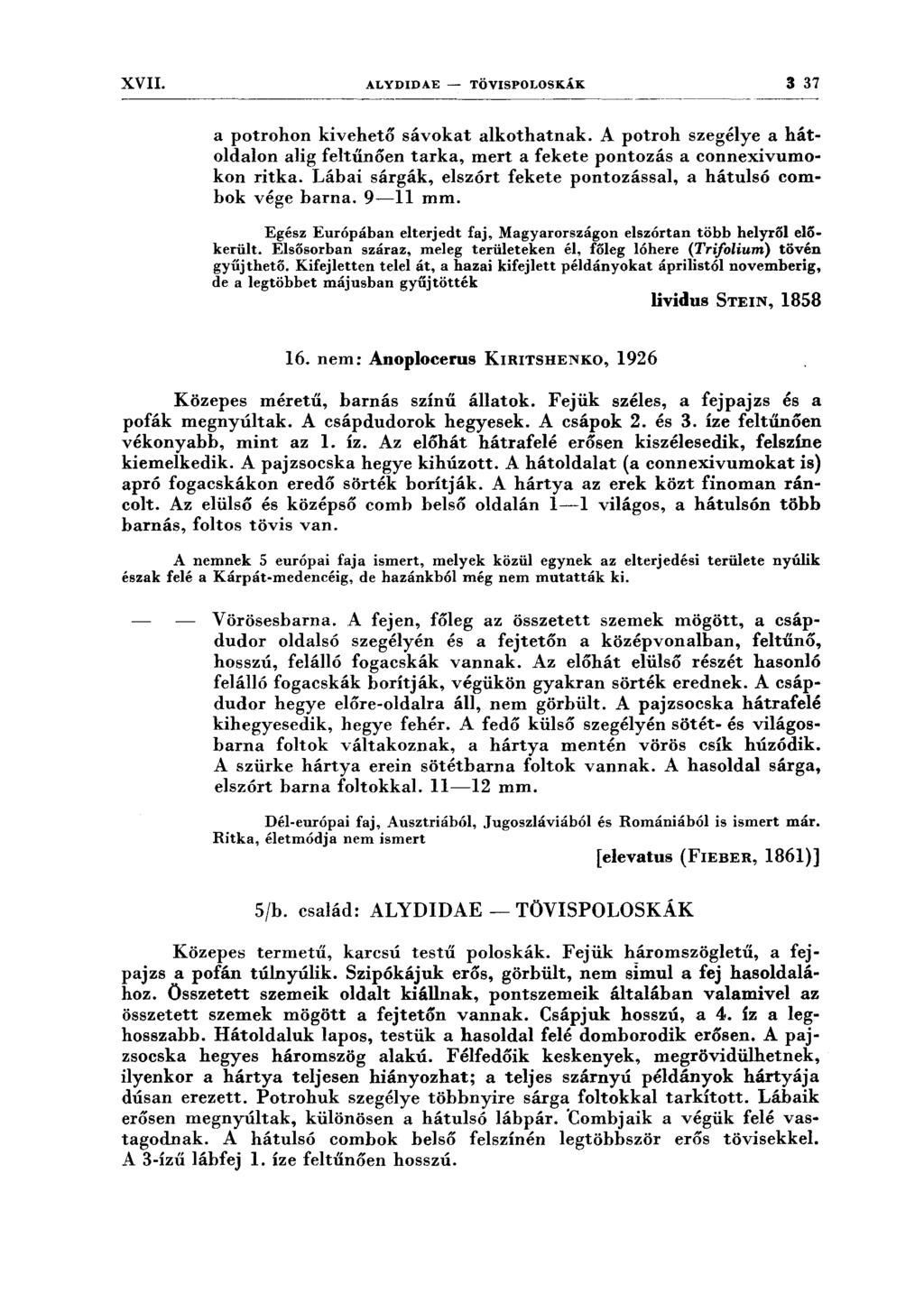 XVII. ALYDIDAE - TÖVISPOLOSKÁK 3 37 a potrohon kivehető sávokat alkothatnak. A potroh szegélye a hátoldalon alig feltűnően tarka, mert a fekete pontozás a connexivumokon ritka.