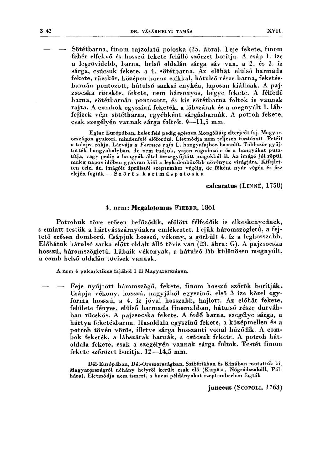 3 42 DR. VÁSÁRHELYI TAMÁS XVII. ------------- -- Sötétbarna, finom rajzolatú poloska (25. ábra). Feje fekete, finom fehér elfekvő és hosszú fekete felálló szőrzet borítja. A csáp l.