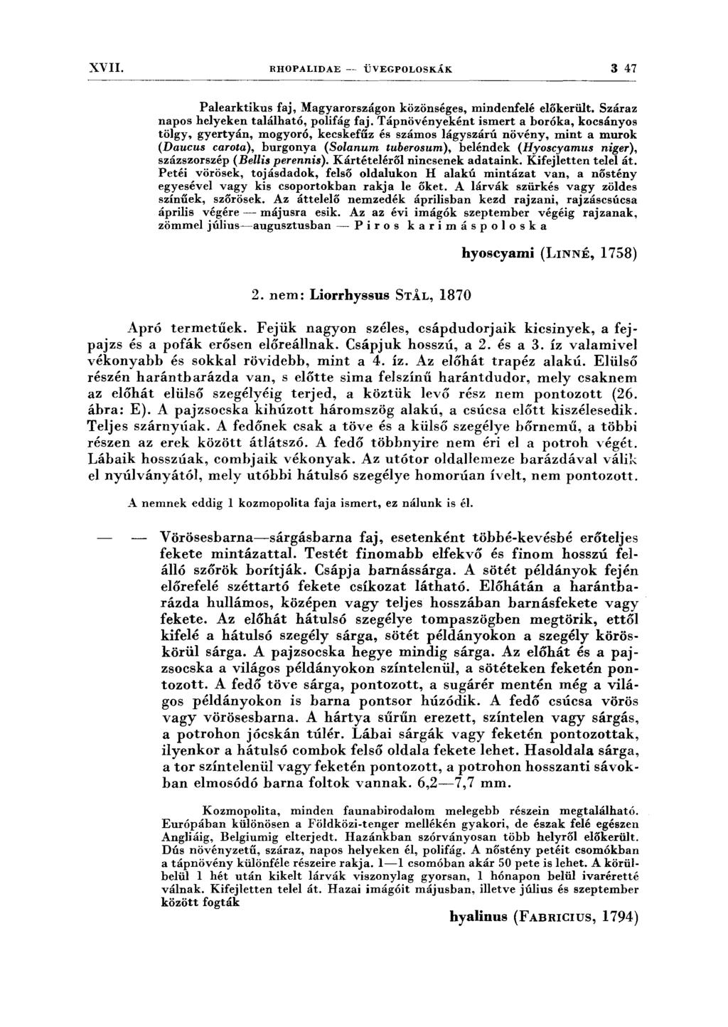 XVII. RHOPALIDAE --- ÜVEGPOLOSKÁK 3 47 Palearktikus faj, Magyarországon közönséges, mindenfelé előkerült. Száraz napos helyeken található, polifág faj.