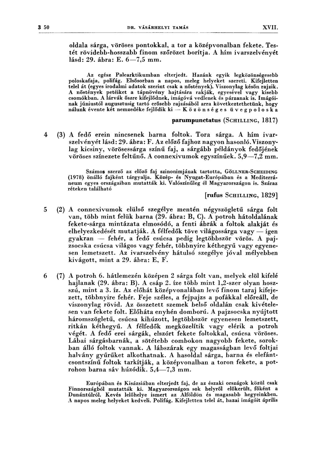 3 50 DR. VÁSÁRHELYI TAMÁS XVII. oldala sárga, vöröses pontokkal, a tor a középvonalban fekete. Testét rövidebb-hosszabb finom szőrözet borítja. A hím ivarszelvényét lásd: 29. ábra: E. 6-7,5 mm.