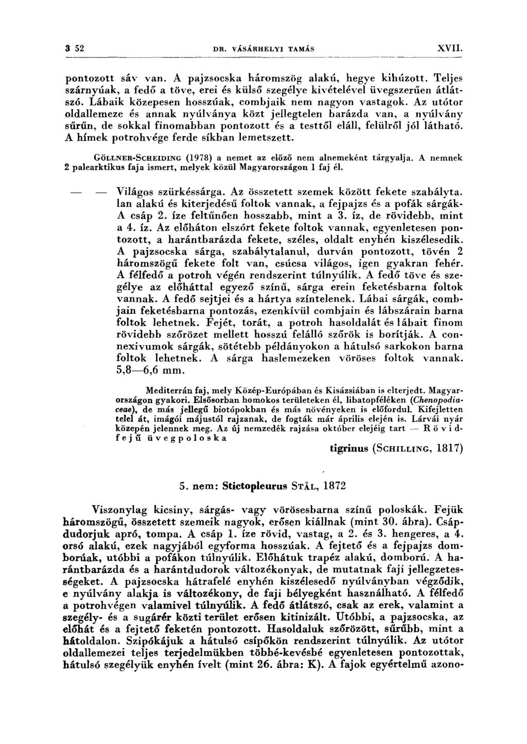 3 52 DR. VÁSÁRHELYI TAMÁS XVII. pontozott sáv van. A pajzsocska háromszög alakú, hegye kihúzott. Teljes szárnyúak, a fedő a töve, erei és külső szegélye kivételével üvegszerűen átlátszó.