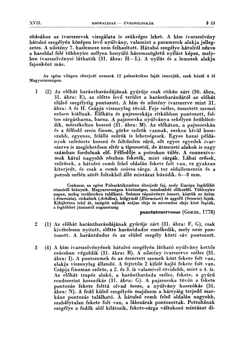 XVII. RHOPALIDAE- ÜVEGPOLOSKÁK 3 53 sításához az ivarszervek vizsgálata is szükséges lehet. A hím ivarszelvény hátulsó szegélyén középen levő nyúlvány, valamint a pararnerek alakja jellegzetes.