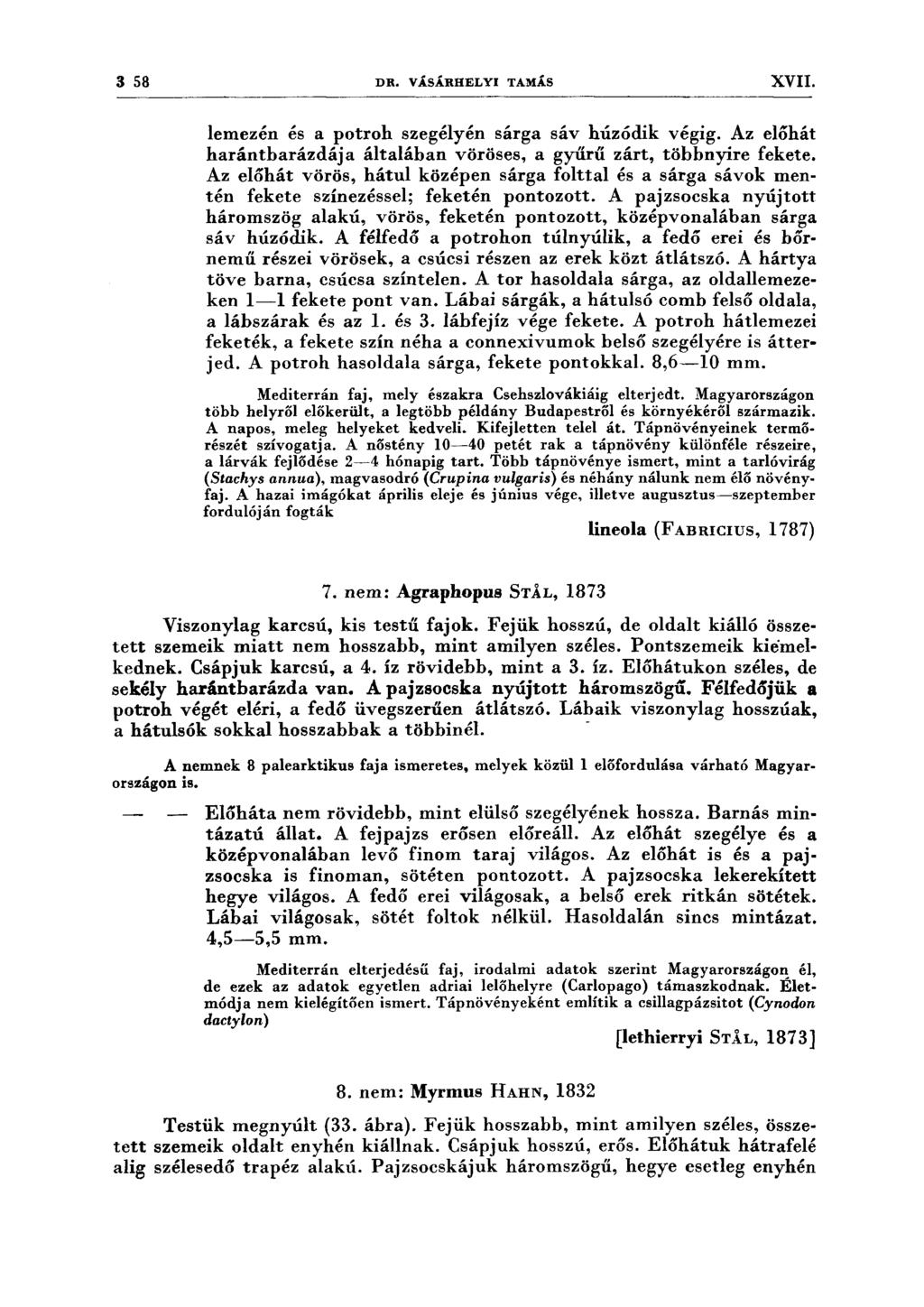 3 58 DR. VÁSÁRHELYI TAMÁS XVII. lemezén és a potroh szegélyén sárga sáv húzódik végig. Az előhát harántbarázdája általában vöröses, a gyűrű zárt, többnyire fekete.
