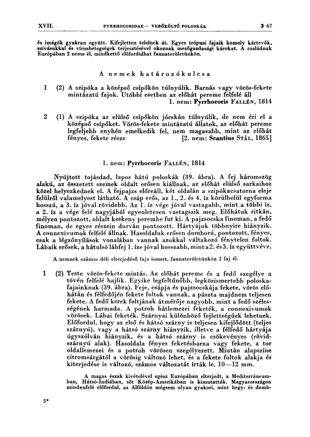 XVII. PYRRHOCORIDAE- VERŐKÖLTŐ POLOSKÁK 3 67 és imágók gyakran együtt. Kifejletten telelnek át.