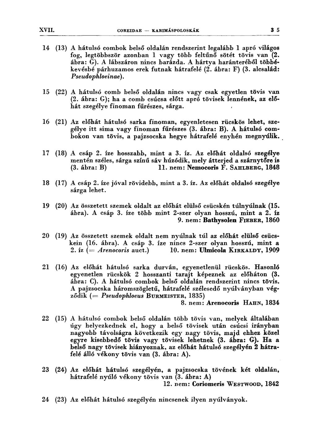 XVII. COREIDAE -- KARIMÁSPOLOSKÁK 3 5 14 (13) A hátulsó combok belső oldalán rendszerint legalább l apró világos fog, legtöbbször azonban l vagy több feltűnő sötét tövis van (2. ábra: G).