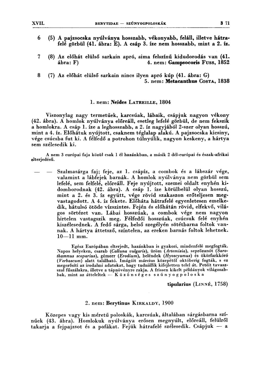 XVII. BERYTIDAE - SZÚNYOGPOLOSKÁK 371 6 (5) A pajzsocska nyúlványa hosszabb, vékonyabb, feláll, illetve hátrafelé görbül (41. ábra: E). A csáp 3. íze