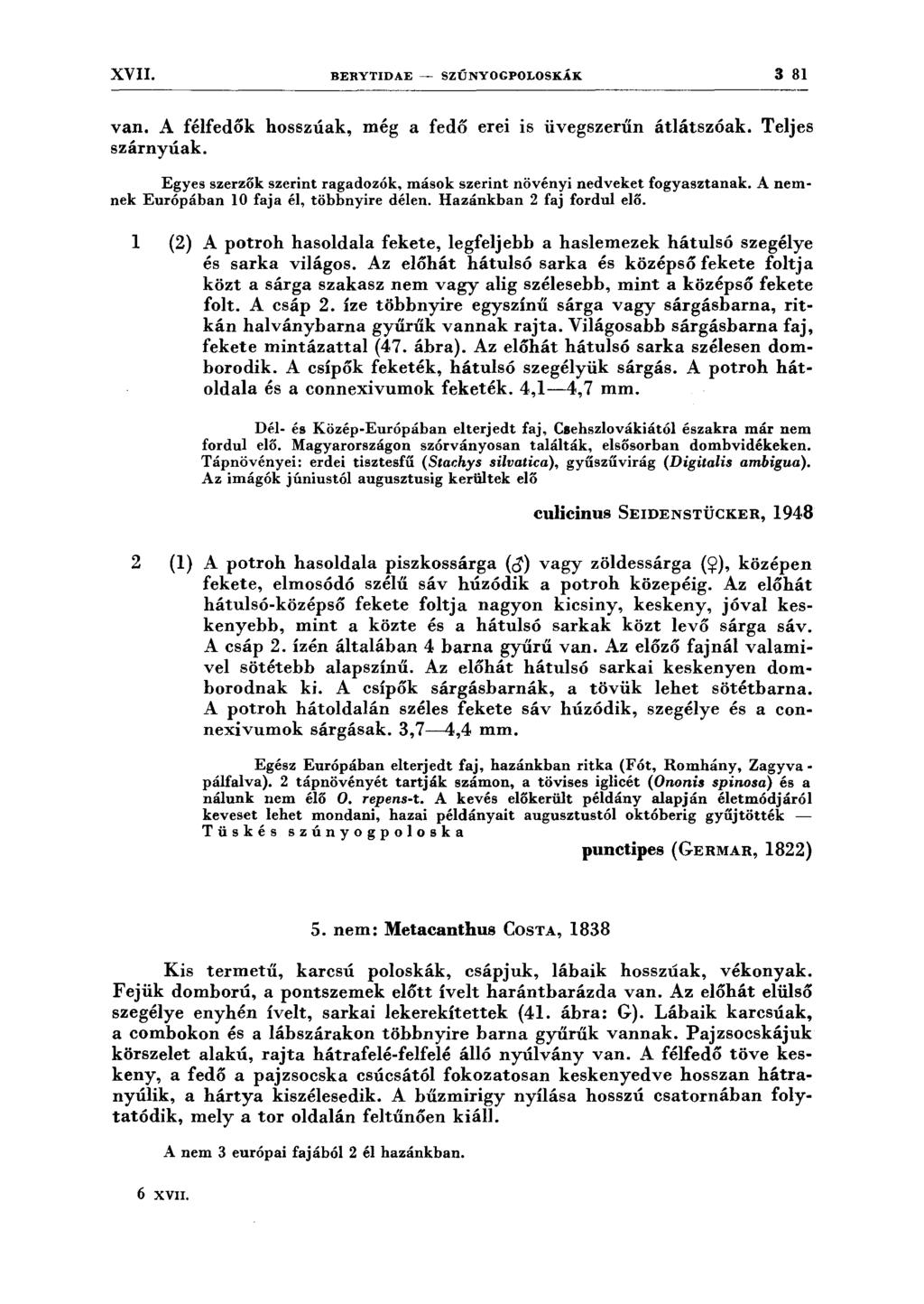XVII. BERYTIDAE ~ SZÚNYOGPOLOSKÁK 3 81 van. A félfedók hosszúak, még a fedő erei is üvegszerűn átlátszóak. Teljes szárnyúak.