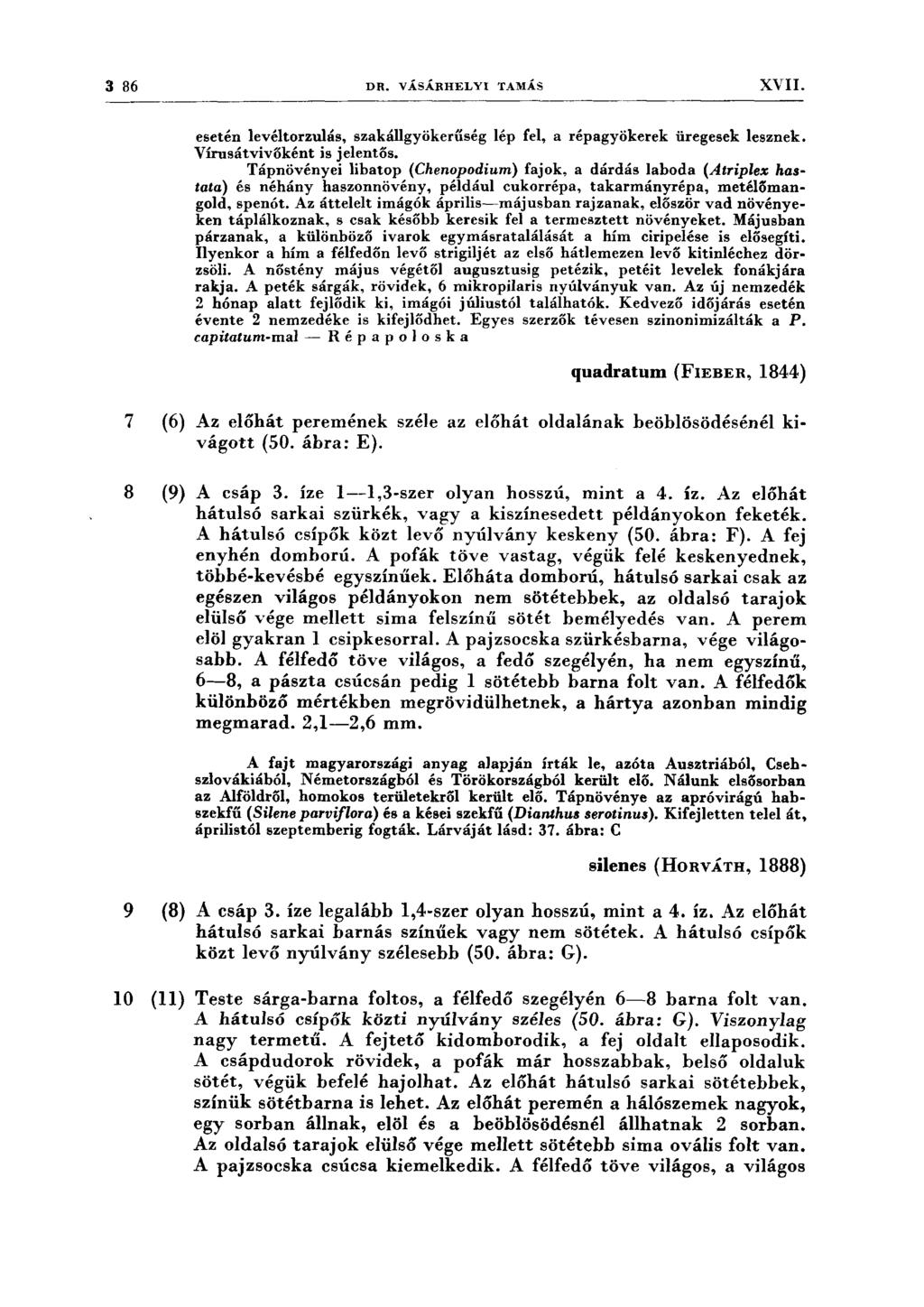 3 86 DR. VÁSÁRHELYI TAMÁS XVII. esetén levéltorzulás, szakállgyökerűség lép fel, a répagyökerek üregesek lesznek. Vírusátvivőként is jelentős.