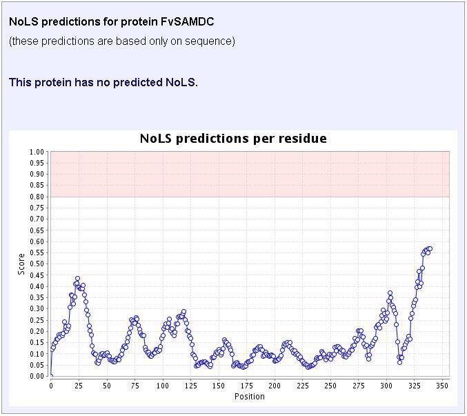 Szignálok (NoLSs) hiánya a FvSAMS és a FvSAMDC aminosav