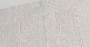 AMBERWOOD SECUOYA
