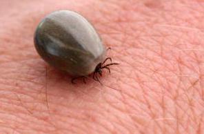 degá (Ticks) skmµpabrbs;degáelimnuss enaeblekars;enaerkampþh b ekµg XValeKa enaval KWCamUlehtunaM[ degámkxam nig bwtqammnuss