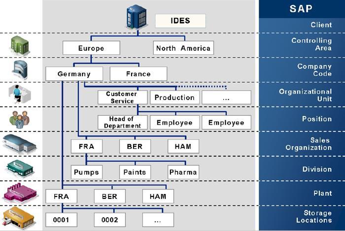 IDES mintavállalat szervezeti felépítés Németországi szervezeti szinttel