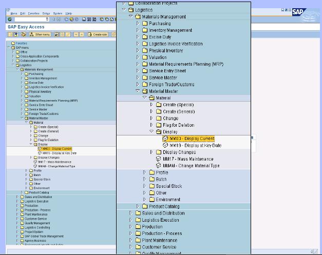 SAP GUI