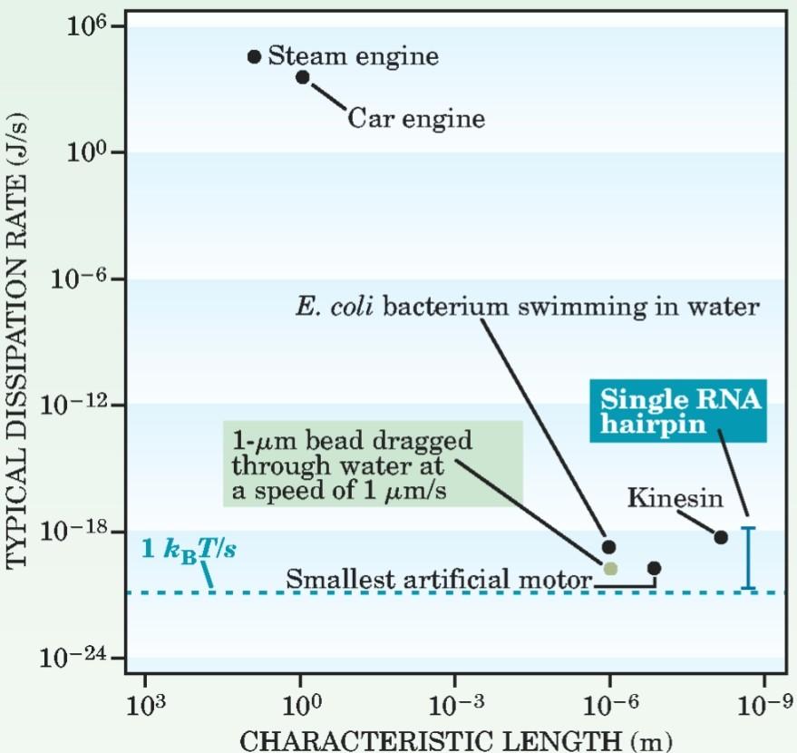 entrópiatermelés t időre vett időátlaga P( Ω = S) P( Ω = -S) = es Evans és Searles (2002) Advances in Physics, 51: 1529 Nano méretű motorok,