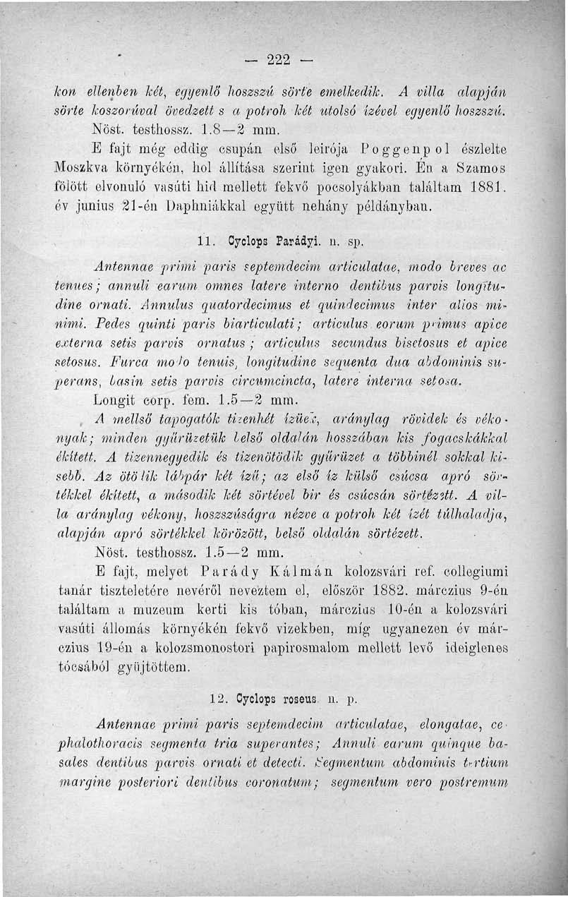 - 222 - kon ellenben két, egyenlő hoszszú sörte emelkedik. A villa alapján sörte koszorúval övedzett s a potroh két utolsó ízével egyenlő hoszszú. Nőst. testhossz. 1.8 2 mm.