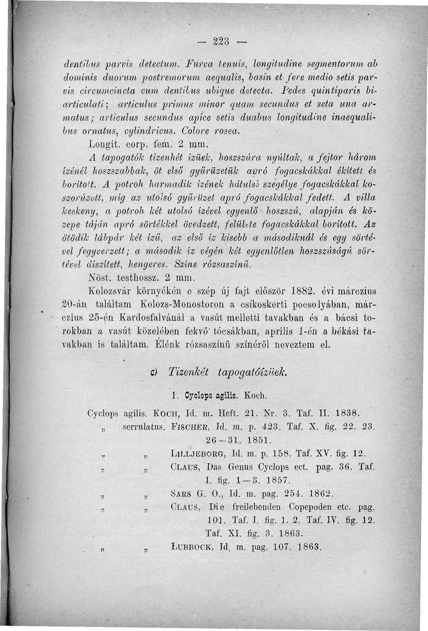 - 223 dentilus parvis detectum. Furca lenuis, longitudine segmentorum ab dominis duorum postremorum aequalis, hasin et fere medio setis parvis circumcincta cum dentilus ubique detecta.