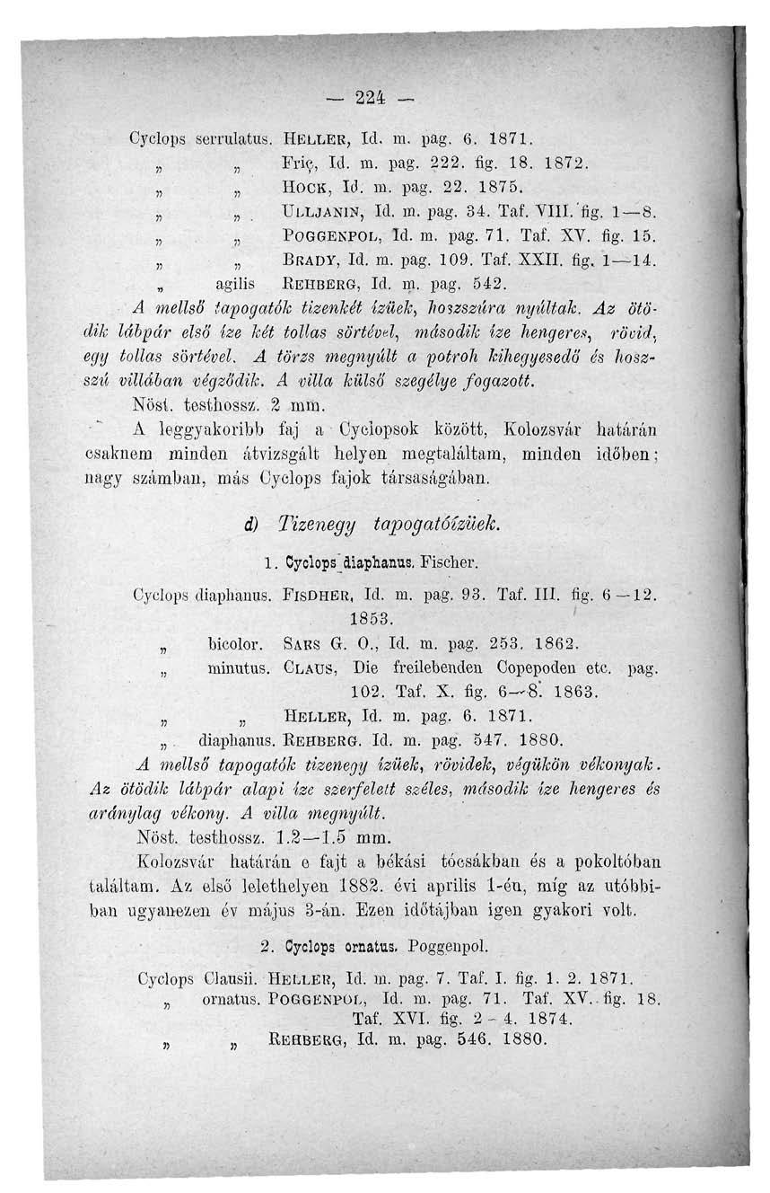 224 - Cyclops serrulatus. PIELLER, Id. m. pag. 6. 1871. Erié, Id. m. pag. 222. fig. 18. 1872. HOCK, Id. m. pag. 22. 1875. ULLJANIN, Id. m. pag. 34. Taf. VIII.'fig. 1 8. POGGENPOL, Id. m. pag. 71. Taf. XV.
