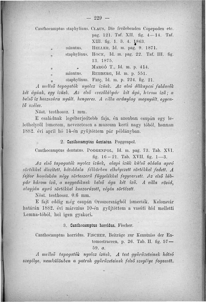 - 229 Canthoeamptus staphylinus. GLAÜS, Dio freilebenden Copepoden etc. pag. 121. Taf. XII. fig. 4-44. Taf. XIII. fig. 1. 3. 4. ^863. minutus. HELLER, Id. m. pag. 9. 1871. staphylinus. HOCK, Id. m. pag. 22. Taf. III.
