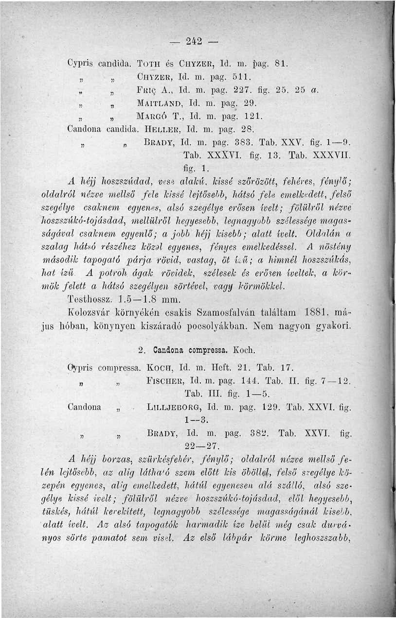 242 Cypris candida. TÓTH és CHYZER, Id. m. pag. 81. CHYZER, Id. m. pag. 511. FRIC, A., Id. m. pag. 227. fig. 25. 25 a. MAITLAND, Id. m. pag. 29. ' MARGÓ T., Id. m. pag. 121. Candona candida.